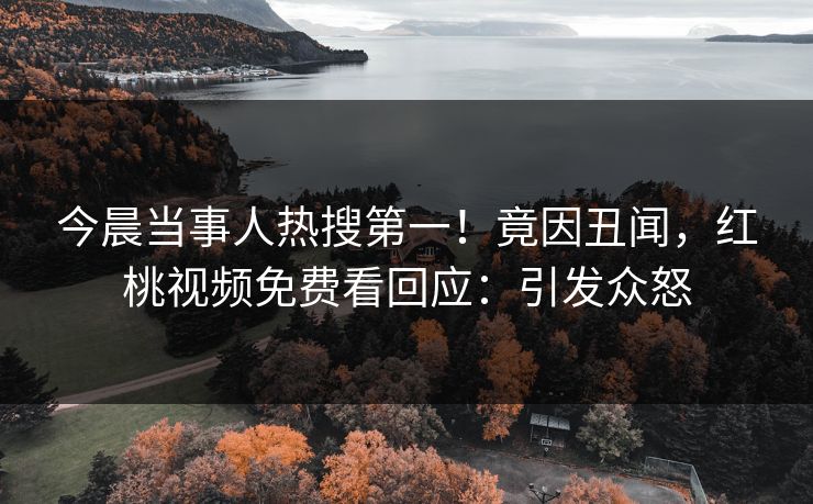 今晨当事人热搜第一！竟因丑闻，红桃视频免费看回应：引发众怒