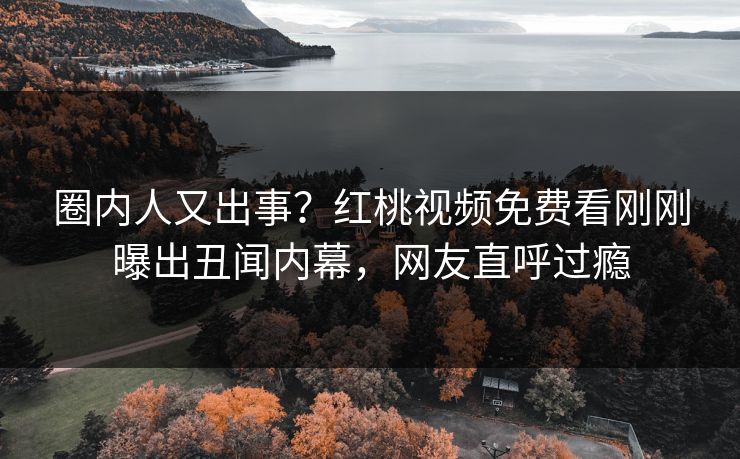 圈内人又出事？红桃视频免费看刚刚曝出丑闻内幕，网友直呼过瘾