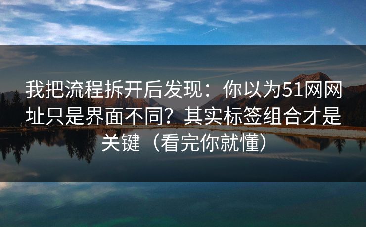 我把流程拆开后发现:你以为51网网址只是界面不同?其实标签组合才是关键(看完你就懂) 我把流程拆开后发现:你以为51网网址只是界面不同?其实标签组合才是关键(看完你就懂)
